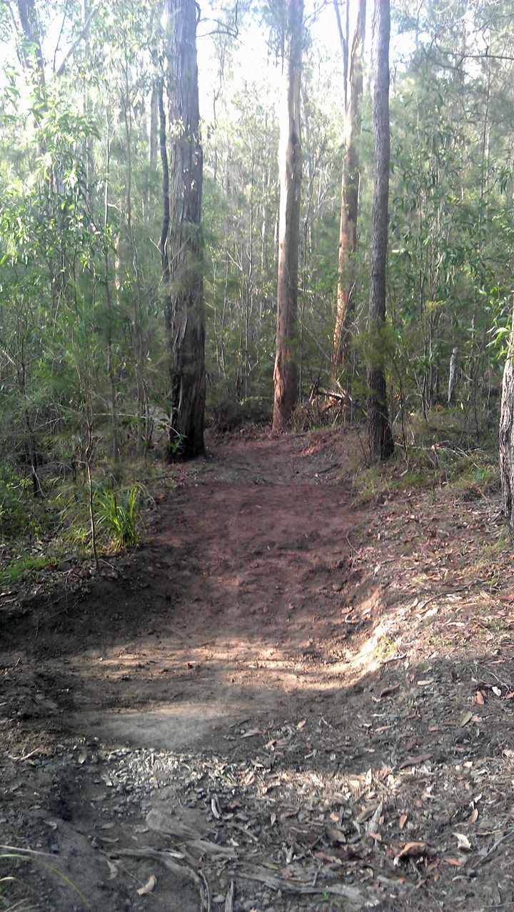 Casuarina Grove, Drain 3.
